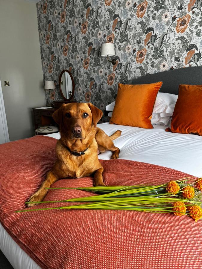 The Crown Pub And Hotel Manningtree Екстер'єр фото